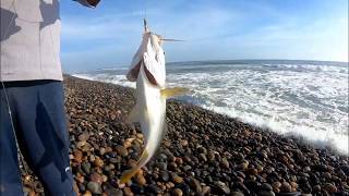 #Pesca de #corvinas con cordel