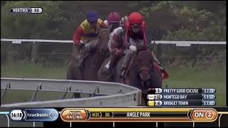 2016  WRC HOKITIKA MISS SCENICLAND STAKES