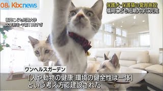 保護犬・保護猫愛育「ワンヘルスガーデン」お披露目