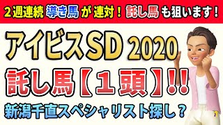 アイビスサマーダッシュ2020 速く飛ぶ馬いました。託し馬【1頭】!!