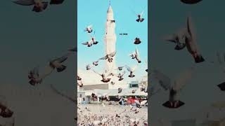 Makka Madina Sharif Kaba Sharif Viral Video