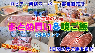 【食料品まとめ買いと晩ごはん】ロピア購入品紹介（大袋のお菓子がお買い得！）/業務スーパー購入品（安くなってた冷凍食品ゲット）/マツモトキヨシ・カインズ購入品/外食ランチ【50代主婦の日常vlog】