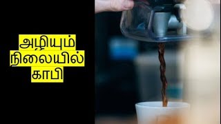 அழியும் நிலையில் காபி பயிர் - அதிர்ச்சி தகவல் | IN4net