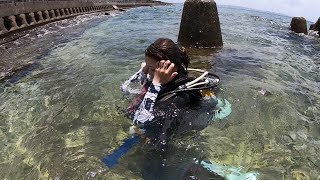 ダイビング　沖縄北谷の砂辺海岸でダイビング。ソフトコーラルの綺麗な沖縄中部のダイビングポイント砂辺