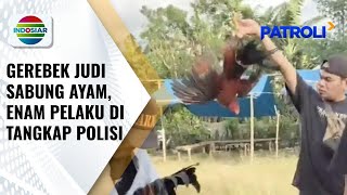 Polisi Gerebek Judi Sabung Ayam yang Meresahkan Warga | Patroli