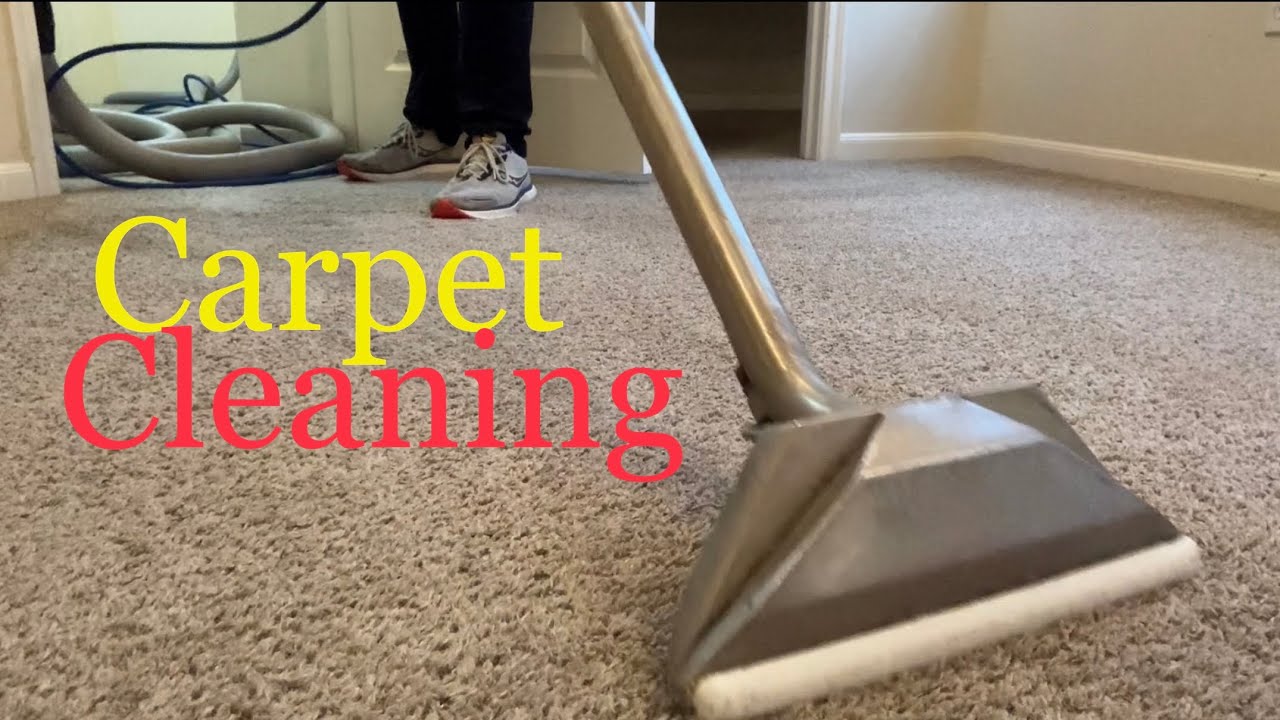 Satisfying Asmr Carpet Cleaning Youtube