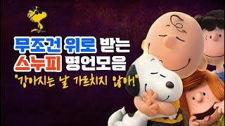 무조건 위로 받는 스누피 명언모음 / 명대사 인생조언 마인드셋 자아성찰 힐링타임 공부 동기부여 자기계발 좋은글 힐링타임 우울할때 기분좋아지는