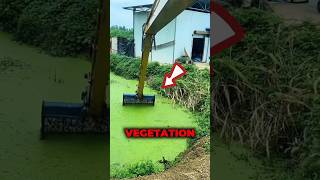 Ditch cleaning and removing vegetation by excavator ‼️ #excavator #cleaning #foryou #shorts