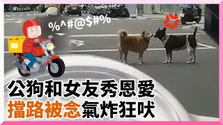 狗狗情侶擋路秀恩愛🥰🥰外送員碎念一句...差點遭男方拖下車｜放閃｜粉紅泡泡｜寵物