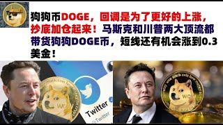 狗狗币DOGE，回调是为了更好的上涨，抄底加仓起来！马斯克和川普两大顶流都带货狗狗DOGE币，短线还有机会涨到0.3美金！马斯克狗狗币|DOGE行情分析!