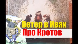 Ветер в ивах. Про кротов