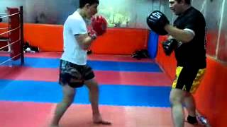 Örnek Gençlik Spor / Muaythai