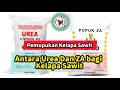 Pemupukan Kelapa Sawit: Antara Urea Dan ZA bagi Kelapa Sawit