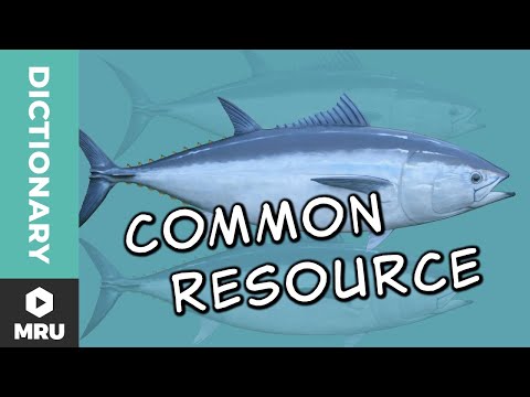 What is a common resource good?
