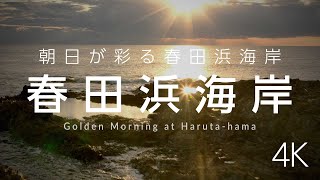 春田浜海岸 - 屋久島の壮大な海岸線に昇る朝日 | Haruta-hama Beach - Sunrise Over Yakushima’s Stunning Coastline