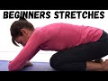 Beginners Stretching Exercises for General Flexibility - 10 MIN ROUTINE