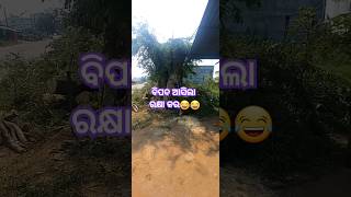 ଜଗନ୍ନାଥ ରକ୍ଷା କର,#shortsyoutube #viralvideo #viralshort #hastagshorts #tapanvlogs21🤣🤣🤣