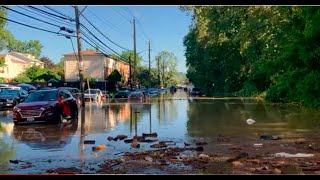 Flood mitigation project chops several trees near Saw Mill River in Yonkers