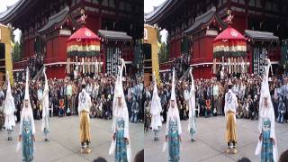 浅草寺「白鷺の舞」 dancing of an egret in Senso ji 3D 20111103 1