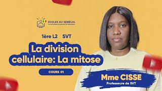 Cours - Première L2 - SVT: Résumé de cours sur la Division Cellulaire: La Mitose / Mme. Cissé