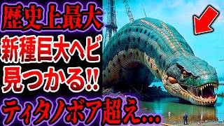 【新種発見】ティタノボアを超える歴史上最大の巨大ヘビ…2024年発見された新種巨大生物たち【ゆっくり解説】【新種生物】【巨大生物】