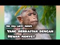 INI DIA ARTI MIMPI YANG BERKAITAN DENGAN MONYET , TERNYATA BANYAK ARTI YANG HARUS KALIAN KETAHUI