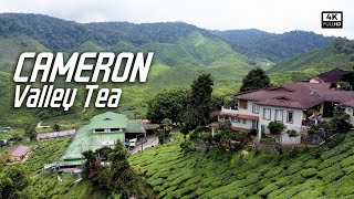 Cameron Valley Tea | Bharat Group Tea Plantation, Tanah Rata, Cameron Highlands, Pahang (4k Video)