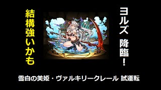 【パズドラ】ヨルズ降臨！超地獄級　雪白の美姫・ヴァルキリークレール試運転