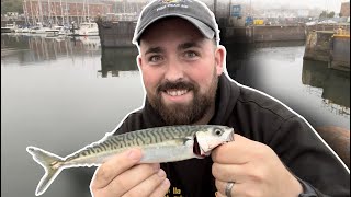 Urban Fishing | Scad, Mackerel & Pollock