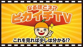 なるほどネ？ピカイチTV「Episode.6　ピカイチのピーちゃん」