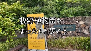 牧野植物園の散策