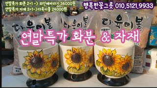 이 화분 진짜 예쁜데~~특가할 때 얼른 잡아 가세요 ! 연말특가 행복한꽃그릇 010.5121.9933