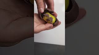 #asmr #kindersurprise #cremeegg #egypt