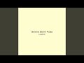 Serene Storm Pulse