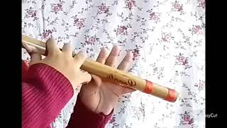 Indian national anthem in flute 🎶🎶🎶🎶🎶🎶 #subscribe #like #flute
