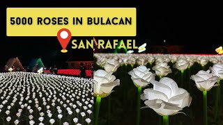 5000 Roses in Bulacan - SHAIRALYNNE'S LUMINOUS ROSE GARDEN | Joel Clavio Travels