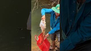 Rural life|| Fishing Traditions: Exploring Mountain Life in Vietnam