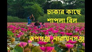 Shapla Bill Resort। রুপগঞ্জ,ঢাকা । shapla bill rupganj। shapla bill।ঢাকার কাছে দর্শনীয় স্থান।