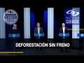 ¿Cómo detener la deforestación en Colombia? Esto dijeron los candidatos a la Presidencia