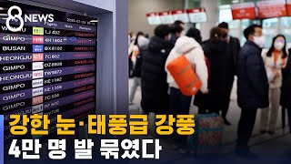 제주 마비시킨 강한 눈 · 태풍급 강풍…4만 명 발 묶였다 / SBS 8뉴스
