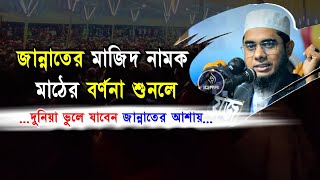 জান্নাতের “মাজিদ” নামক মাঠের বর্ণনা | মুফতি শাহিদুর রহমান মাহমুদাবাদী Mahmudabadi Waz Part -3