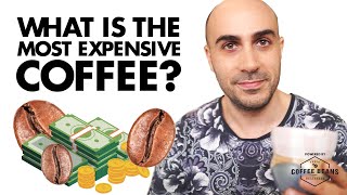 What is the most expensive coffee? How Panama Geisha coffee became the King of coffee!