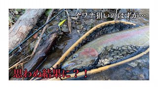 【春季渓流ルアー】イワナ狙いで新規開拓するもバケモノが…【Fishing Log】#EgeriaNativePerformance53L