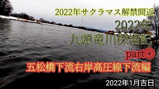 九頭竜川五松橋下流右岸高圧線下流を潜る！