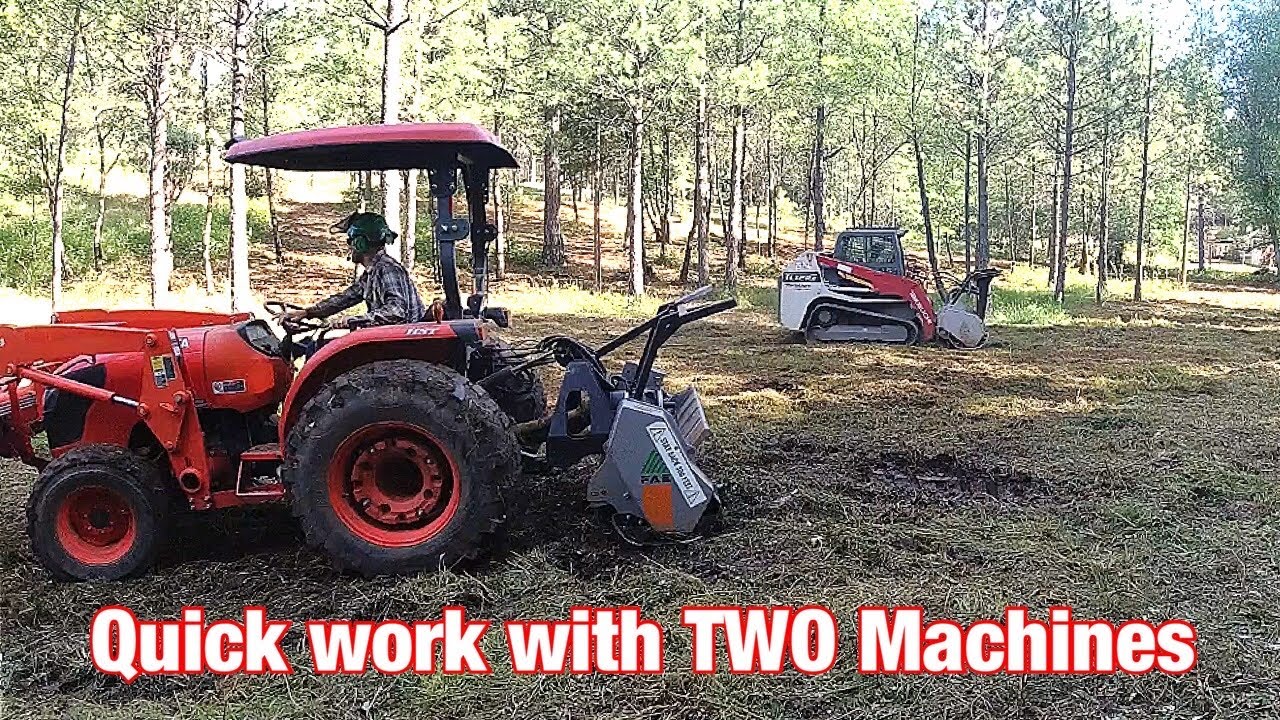 Mowing An Overgrown Backyard Youtube