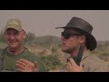 hunting leopard in namibia