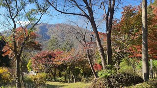 유명산에 가을이 깊어가요♡♡ #숲에서한나절 #숲의언어