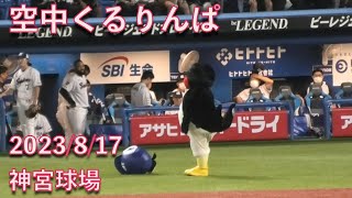 つば九郎、空中くるりんぱを失敗してすわ九郎に八つ当たり 2023/8/17