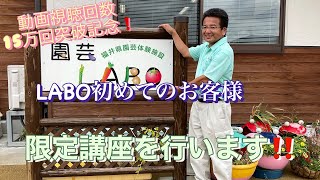 園芸LABO動画視聴回数１５万人突破記念！LABO初めてのお客様限定講座を行います！！