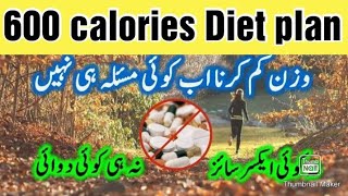 600 Calories Diet Plan_ Weight Loss Diet Plan For 2 Kg Loss in 1 Day_ Ramadan Diet Plan